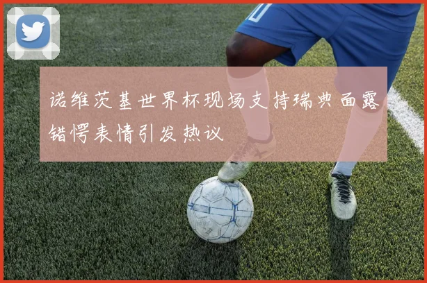 诺维茨基世界杯现场支持瑞典面露错愕表情引发热议