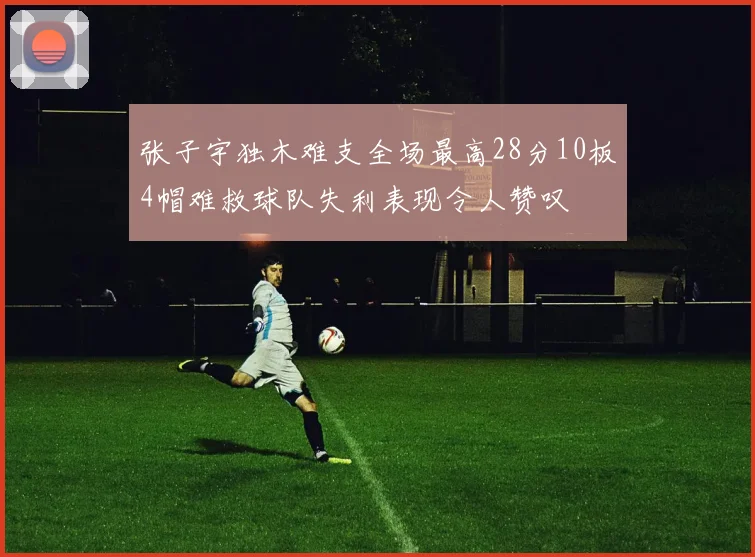 张子宇独木难支全场最高28分10板4帽难救球队失利表现令人赞叹